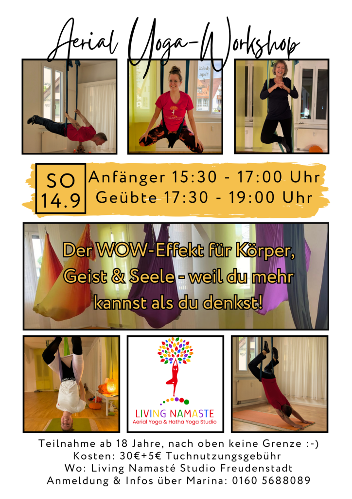 Aerial yoga workshop
