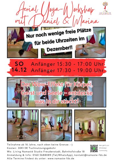 Aerial Yoga Workshop, Living Namaste, Marina Dreyer